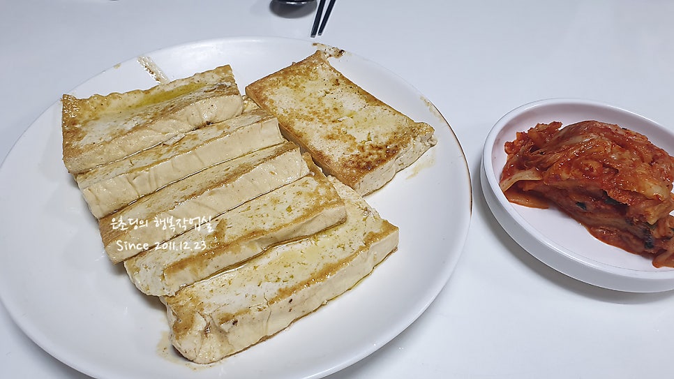 고마루 사진 6