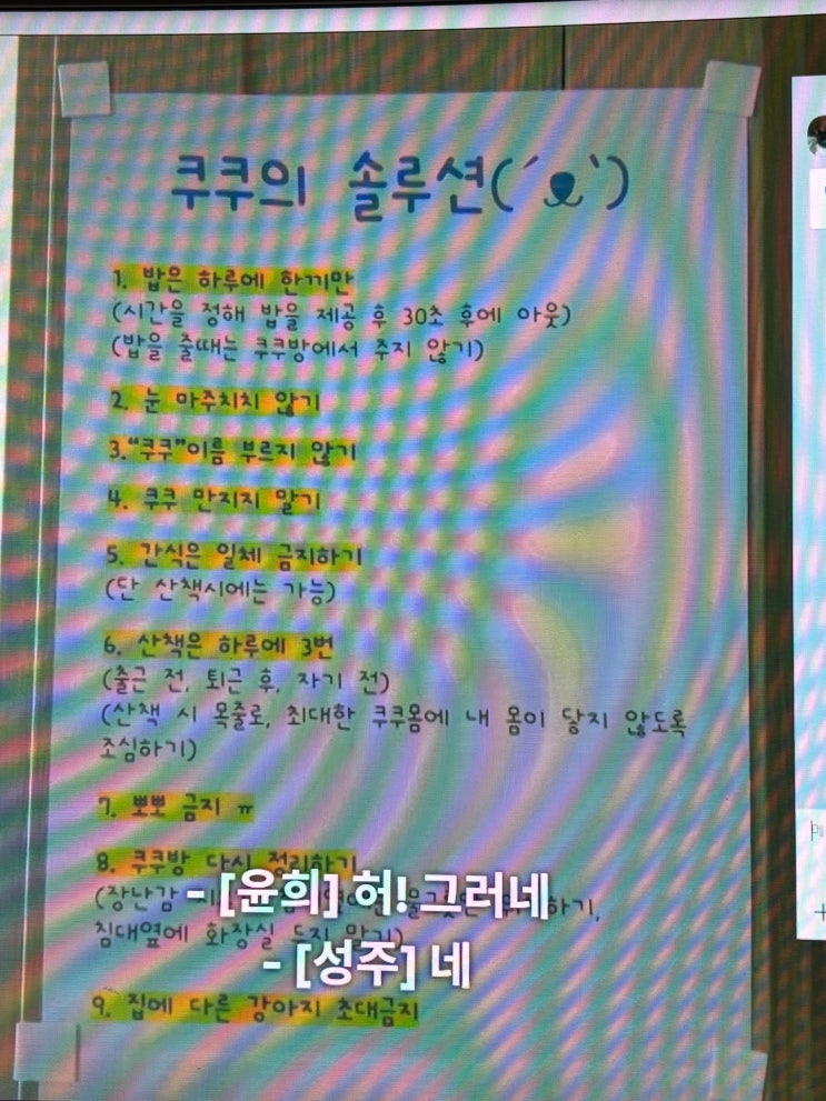 [<b>개늑시</b>1] : (ep.1) 사랑만으로는 강아지를 지킬 수 없다는 생각