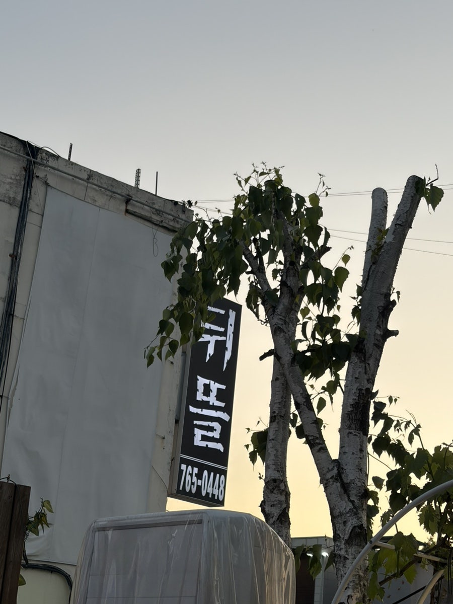 뒤뜰 사진 1