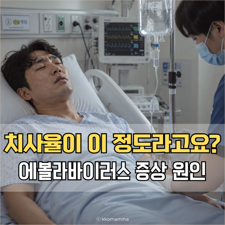<b>에볼라 바이러스</b> 치사율 이 정도였어요 증상 원인 총정리