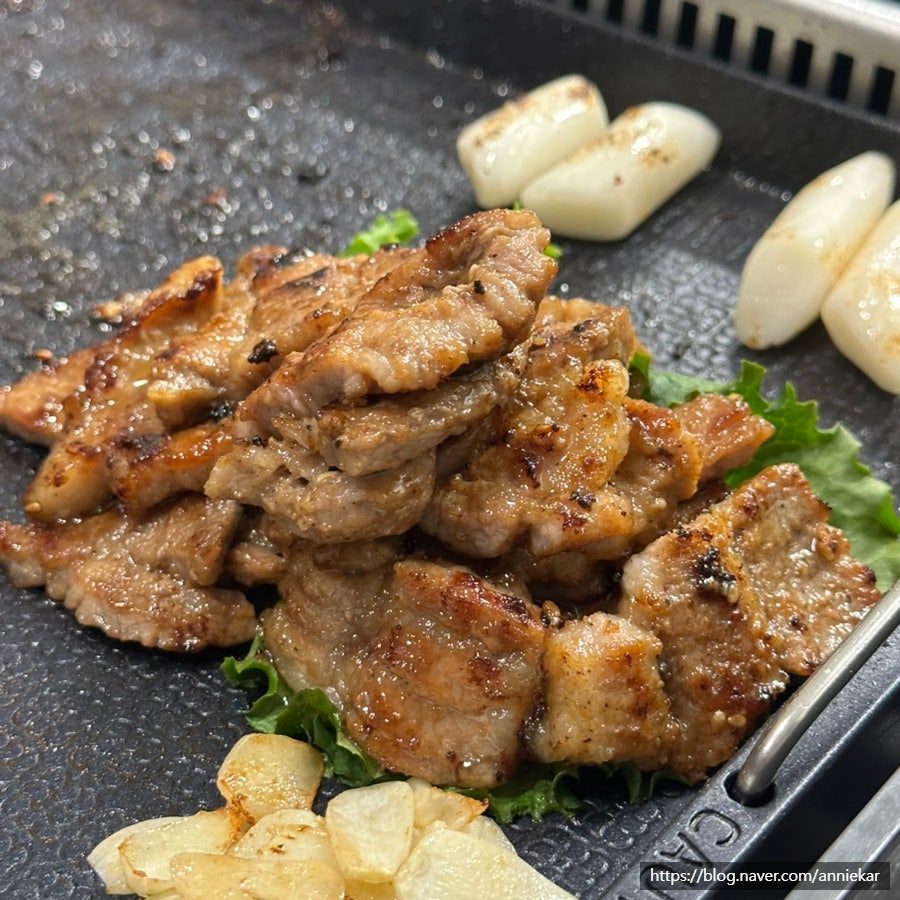 숯더그릴 사진 1