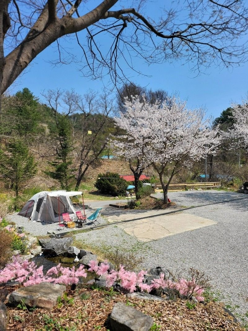 팔미농원 사진 4