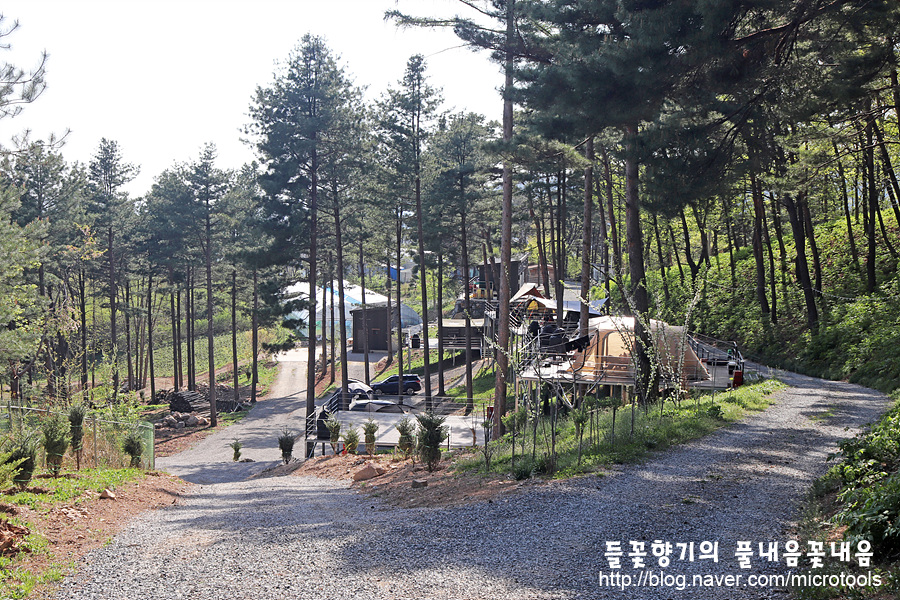 산골도깨비 캠핑장 사진 4