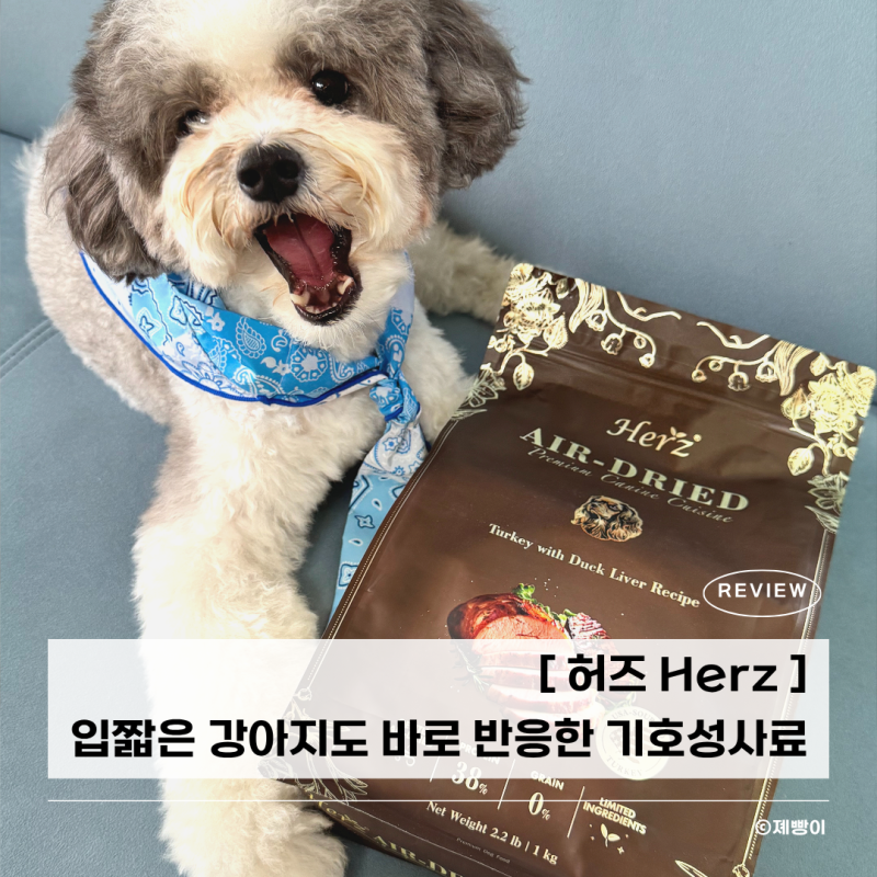 입 짧은 강아지도 잘 먹은 저온건조 프리미엄사료 정착 후기