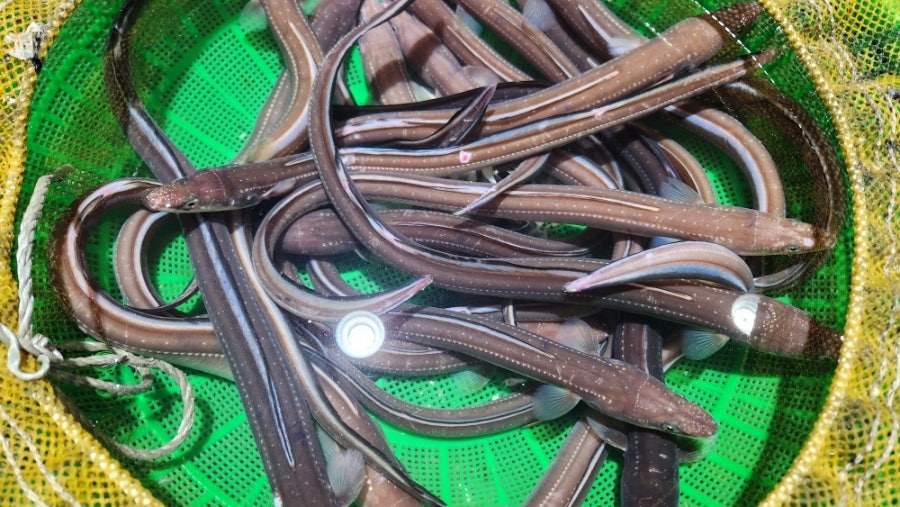 복성식당 사진 2