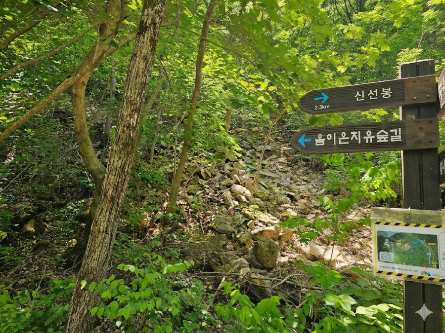 탐험챌린지전시관 사진 6
