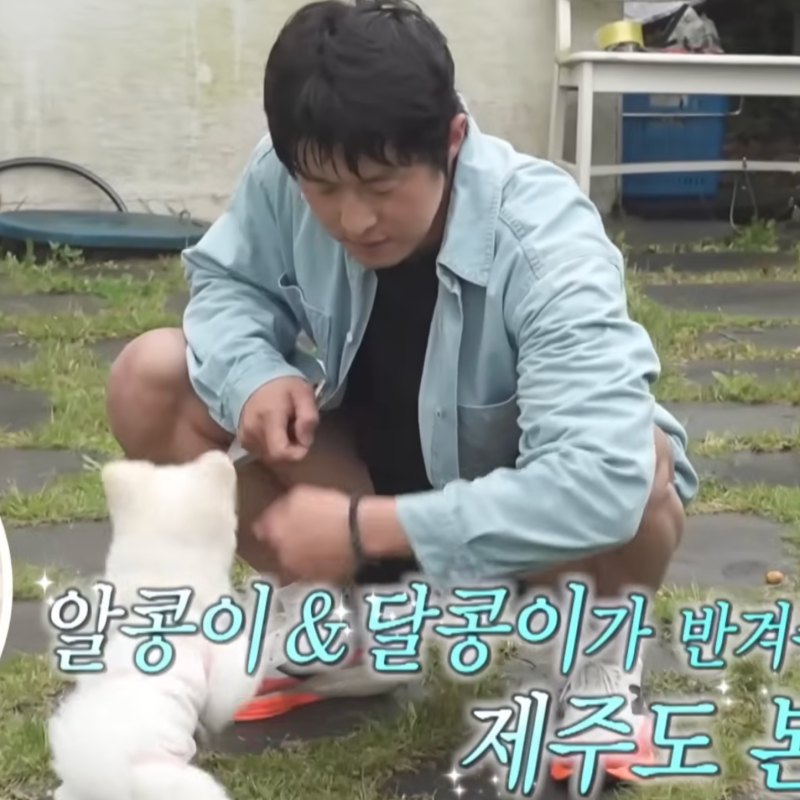 나혼자산다 나혼산 648회 기안84 뉴발란스 런닝화 운동화 모델 추천!