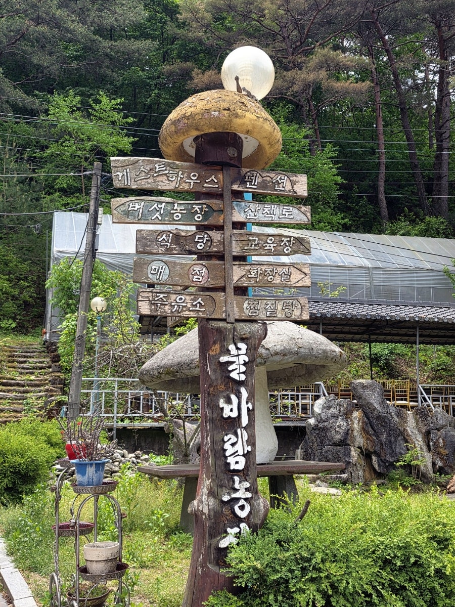 물바람버섯농장 사진 3