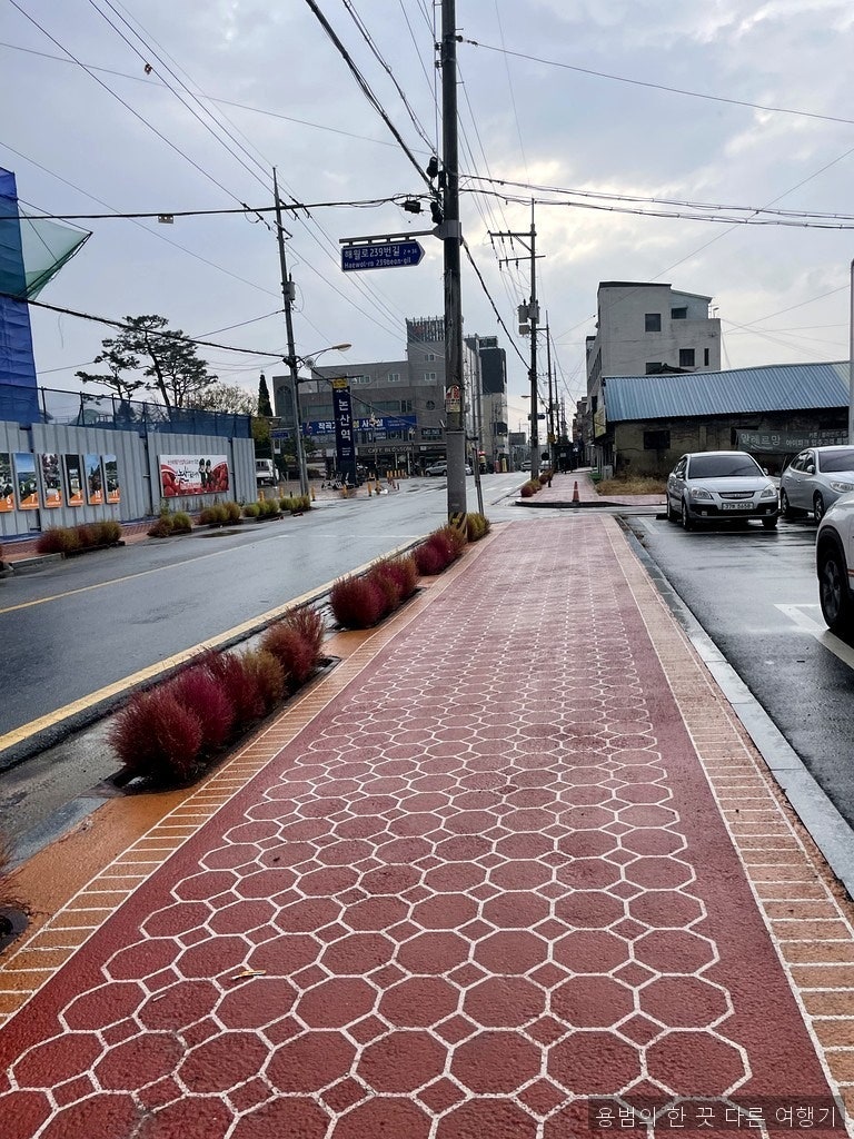 부자주걱수제비 사진 5
