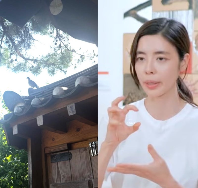배우 김규리 자택 강도..“연예인 사생활 노출 위험”동거인 부상 무슨일?(KBS 예능)