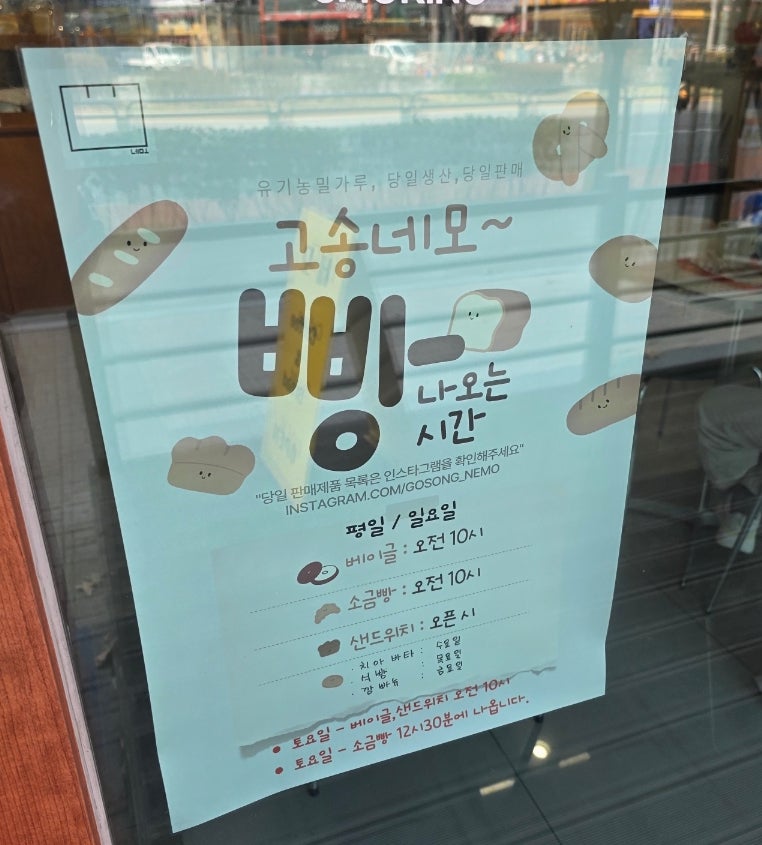 고송네모 사진 2
