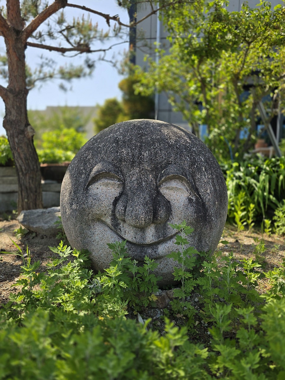 산당 사진 6