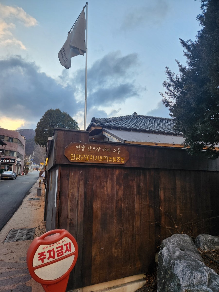 카페 꽃 사진 2