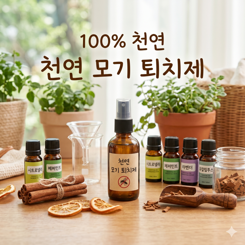 여름철 모기 안 물리는 법, 천연 퇴치제만큼 중요한 생활 습관 3가지