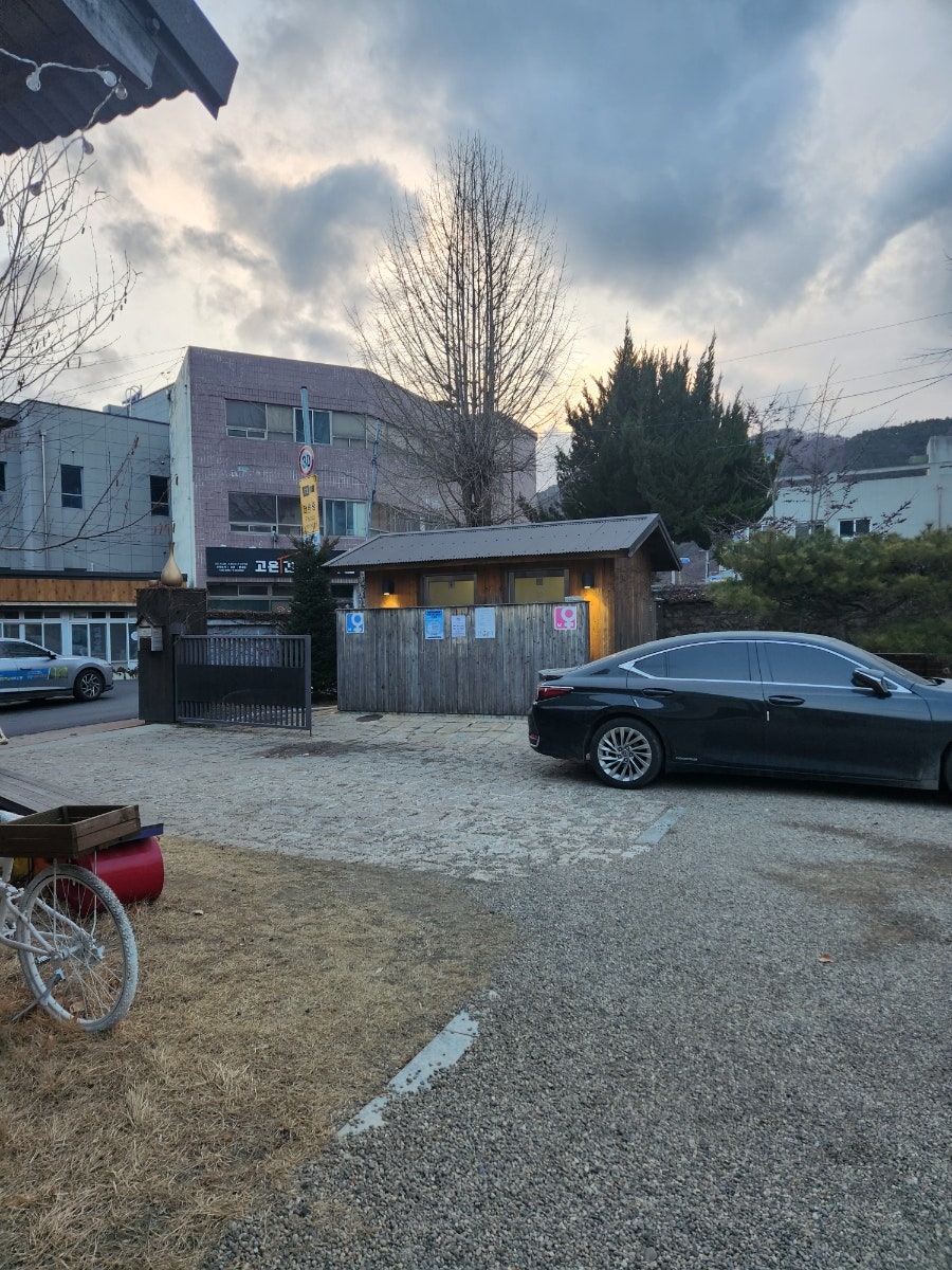 카페 꽃 사진 4