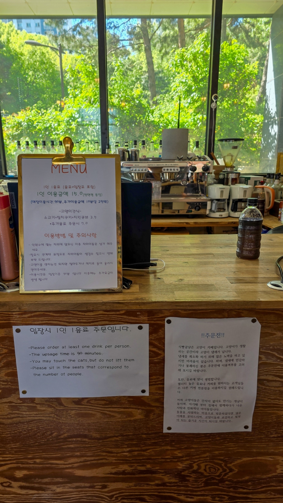 식빵굽냥 사진 5