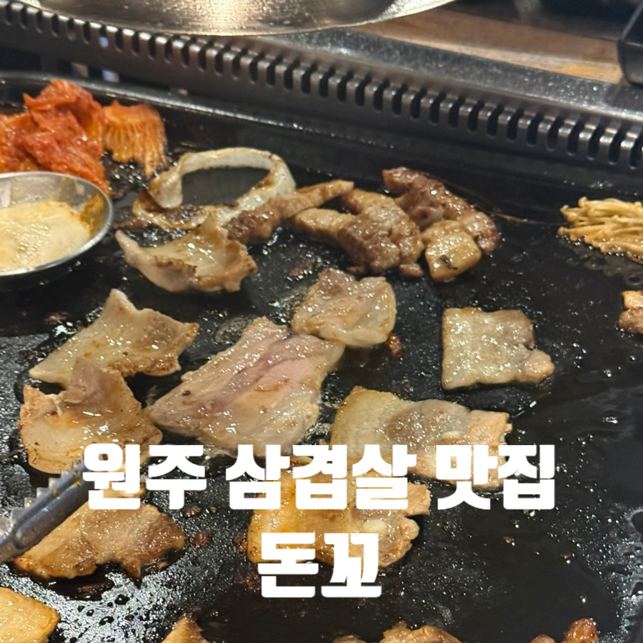 돈꼬 사진 1