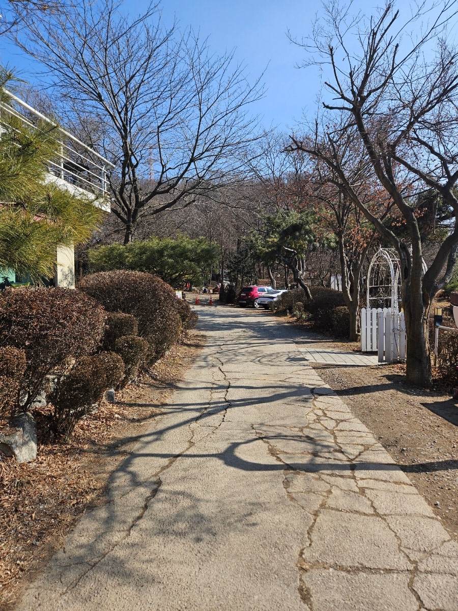 허니듀 사진 2
