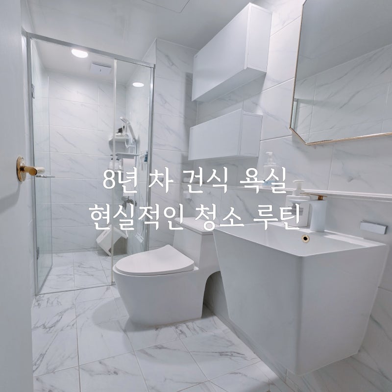 건식 욕실 관리 주기와 현실적인 화장실 청소 방법