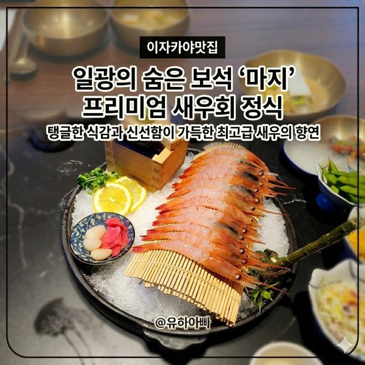  일광 데이트하기 좋은 조용한 이자카야 '마지', 새우회와 나베가 완벽했던 저녁
