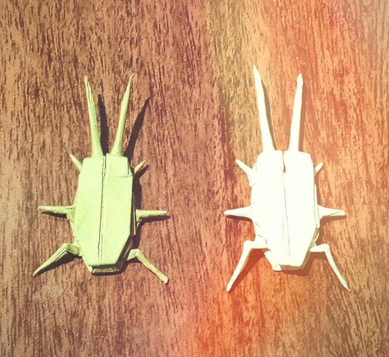 바퀴벌레와의 싸움에서 이기는 방법, 세스코 부르기, 세스코 가격, 바퀴벌레 셀프방역, 바퀴....