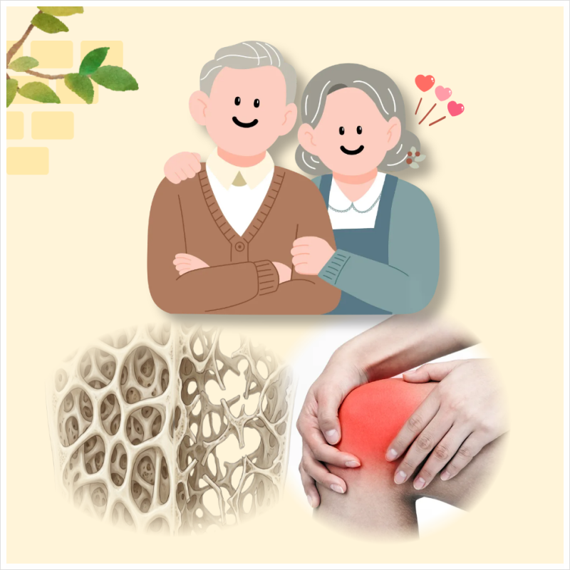 골다공증이란｜보건소 골밀도검사 저비용·무료대상 안내