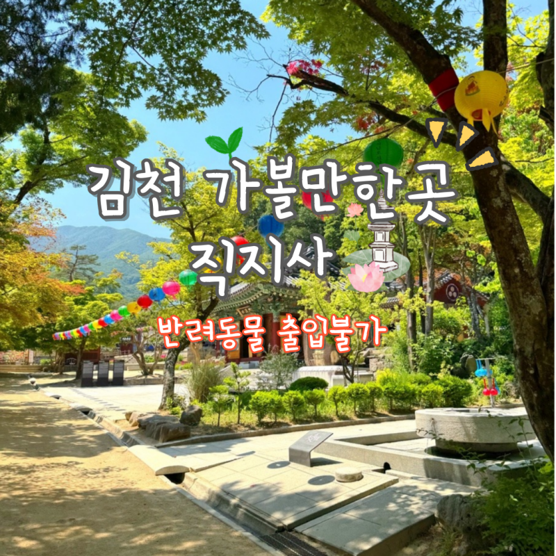 김천 가볼만한 곳 직지사 애견동반 불가 김천 당일치기 여행