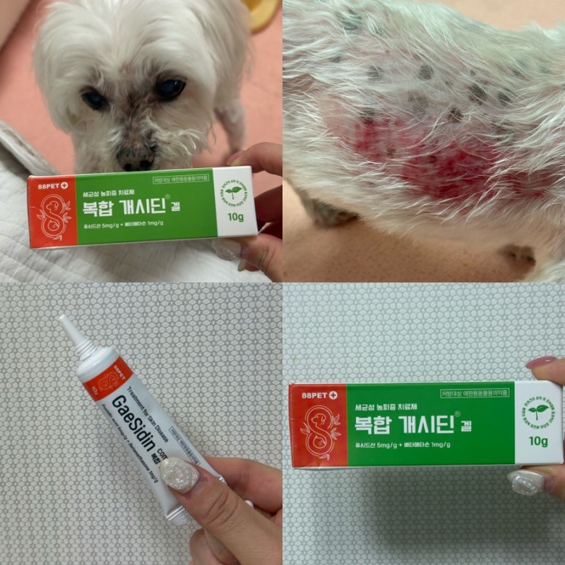 강아지 상처 연고 약국에서 쉽게 구할 수 있는 개시딘