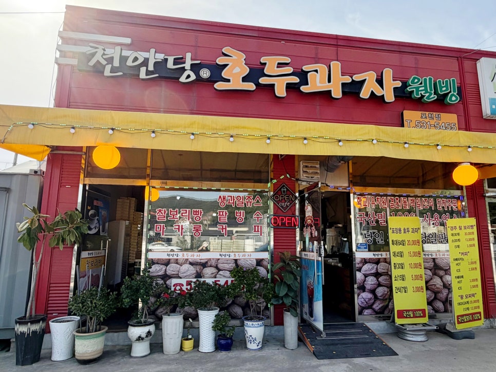 신나라 사진 2