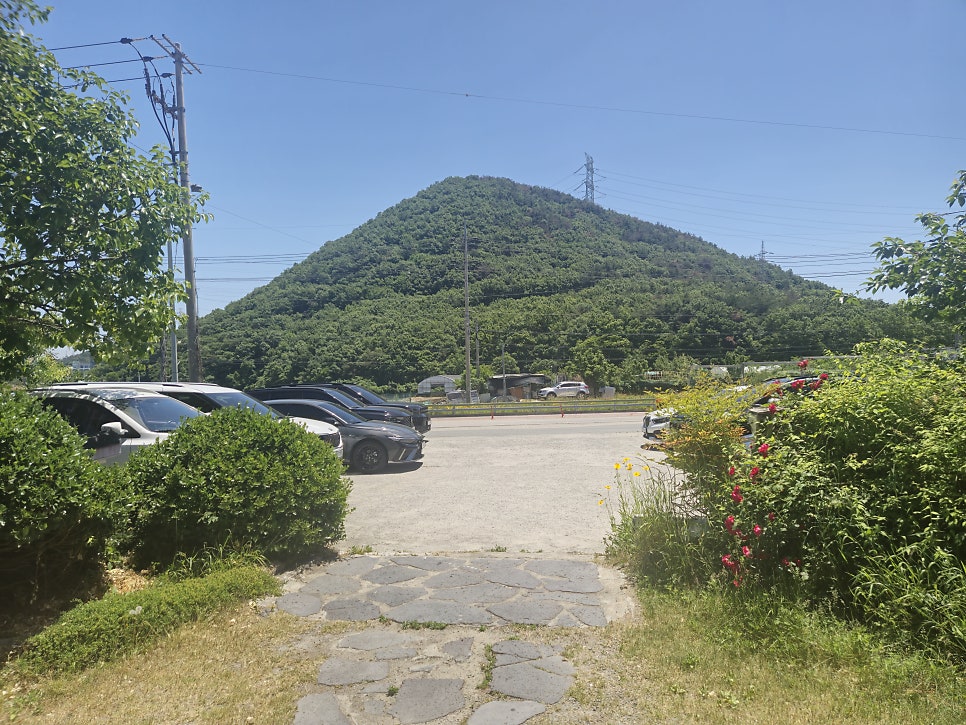 한돈돈까스우동 사진 2
