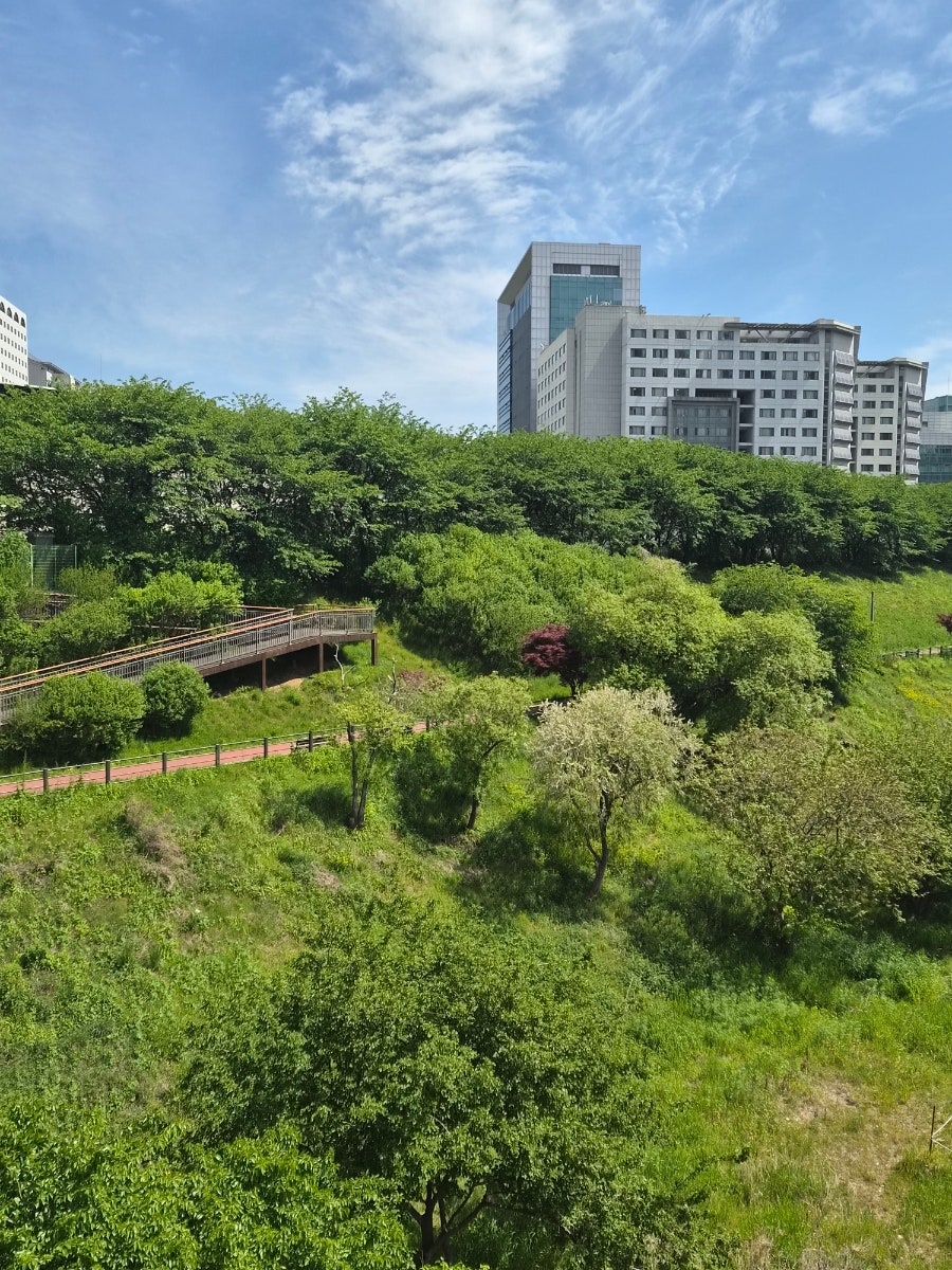 카츠젠 잠실나루점 사진 5
