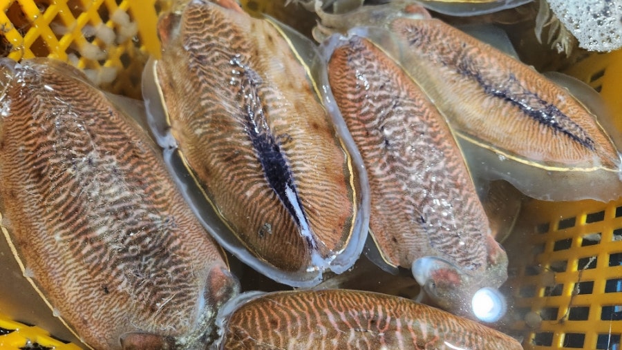 복성식당 사진 4