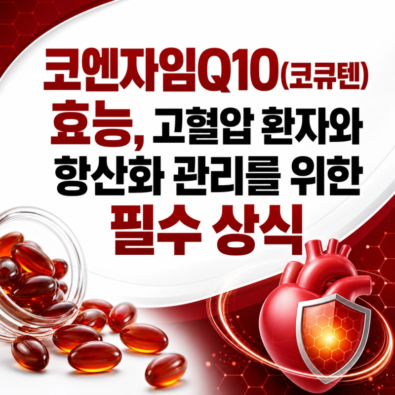 코엔자임Q10(코큐텐) 효능, 고혈압 환자와 항산화 관리를 위한 필수 상식