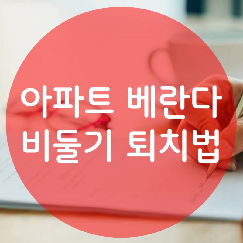 아파트 베란다 비둘기 퇴치방법