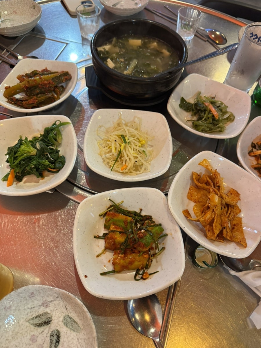 청춘을돌려다오 사진 6