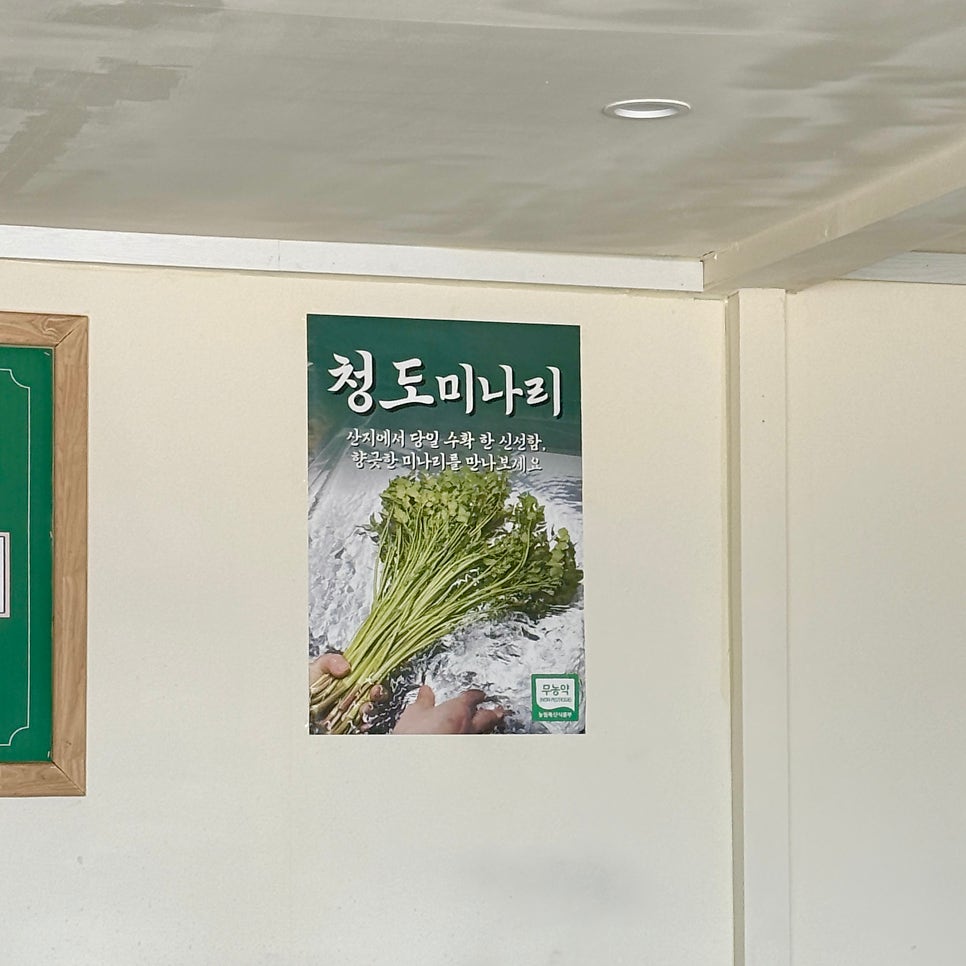 미생 사진 3