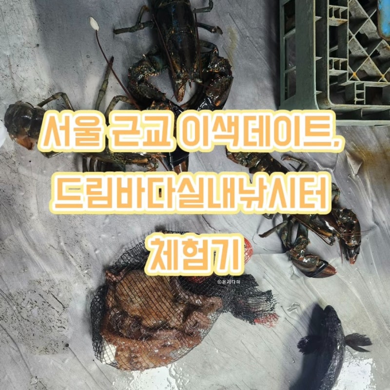 서울 근교 이색데이트, 드림바다실내낚시터 체험기