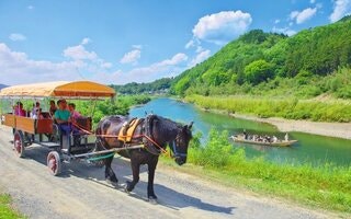  교토 사가노 관광열차 & 호즈가와 강 크루즈 일일 투어 - 람방벚꽃 협곡 여행