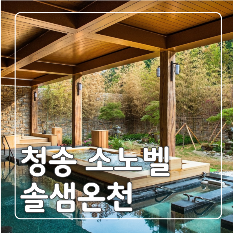[청송] 소노벨 솔샘온천 반려견 동반 여름휴가 숙소 추천 솔직후기