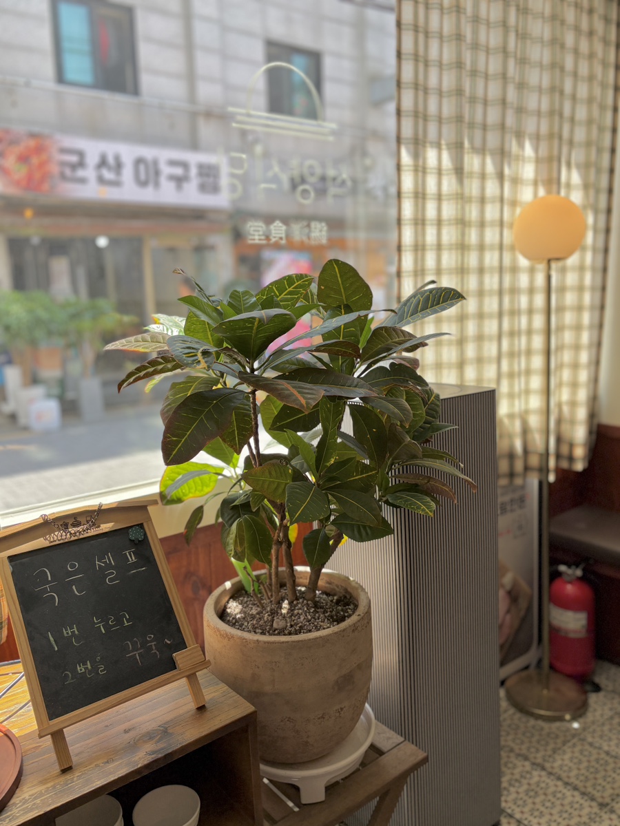 석양식당 사진 6