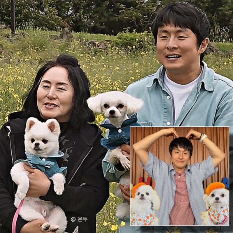 나혼자산다 기안84 강아지 유치원 반장됐다? 입양한 유기견 알콩이 달콩이 근황 나혼산 648회