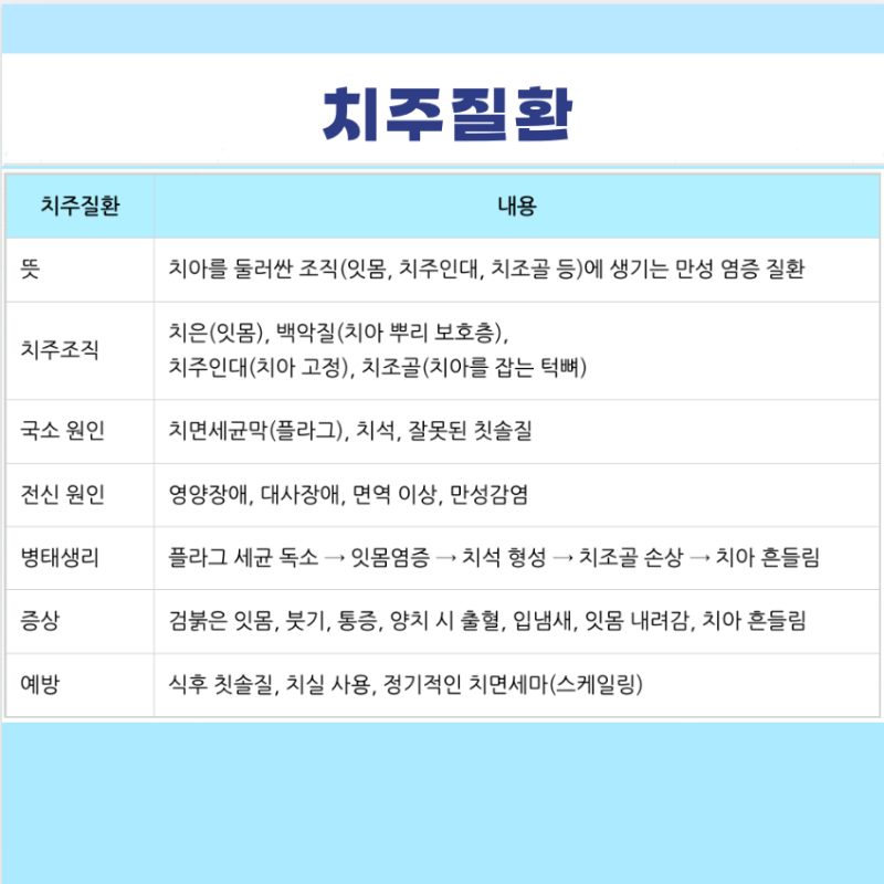 치주질환 뜻 원인 병태생리 증상 예방, 치주조직 치조골 백악질 치주인대 치은 잇몸