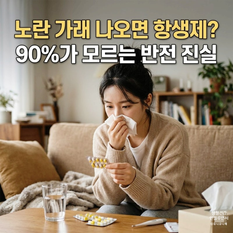 노란가래 기침 계속될 때, 항생제 먹어야 할까? 안전한 대처법 공유