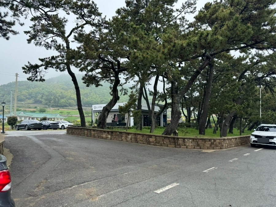 리빈 사진 1