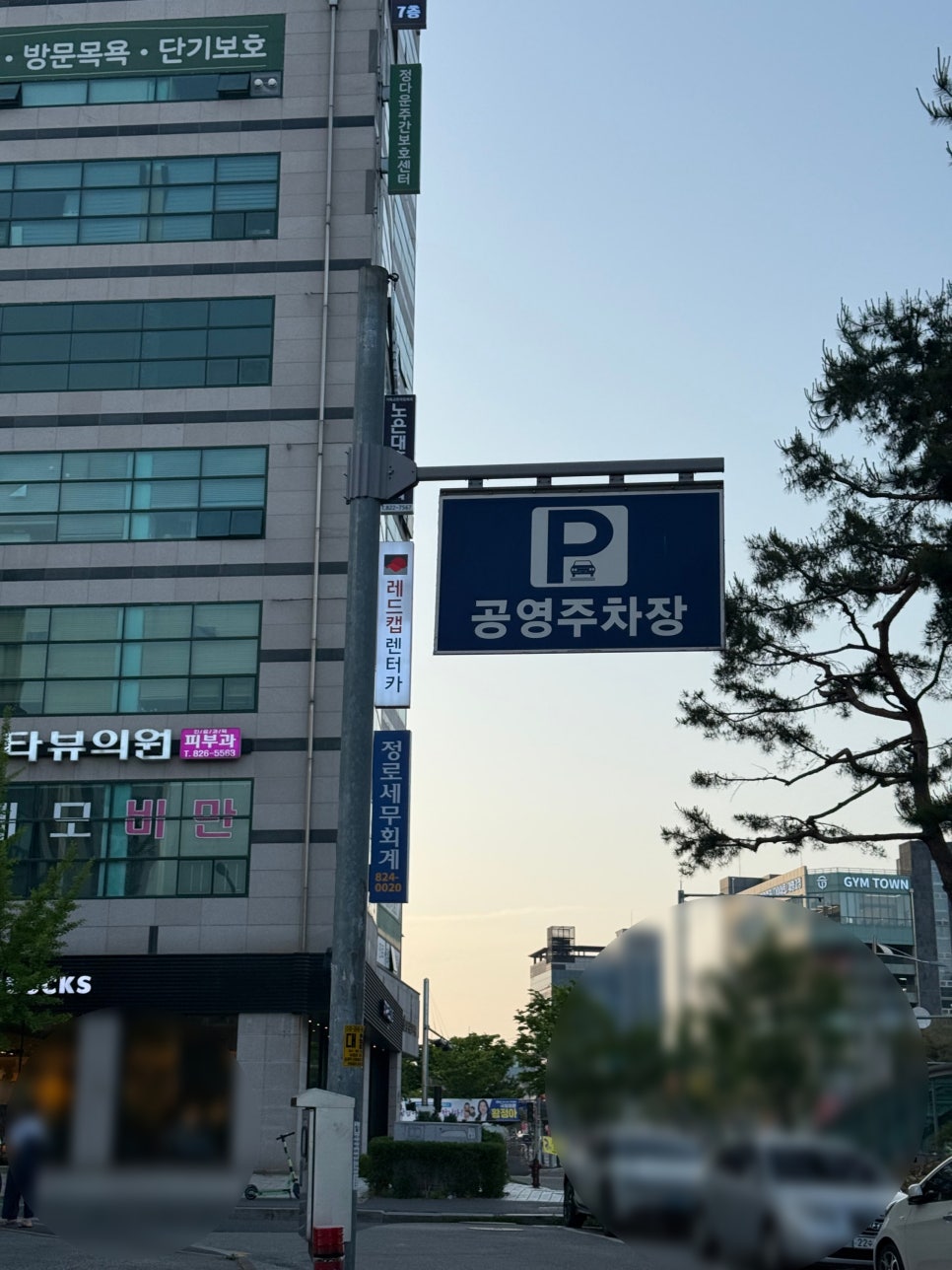 더한우 사진 5