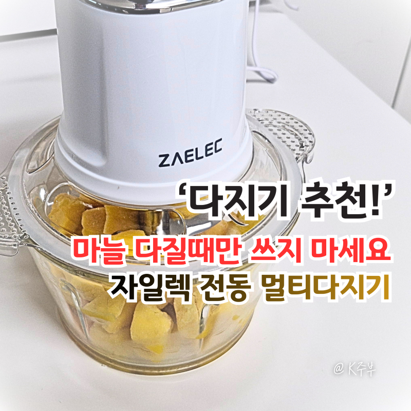 자일렉 전동 멀티 다지기 추천! 마늘 야채 양파는 기본, 아이스크림까지?!
