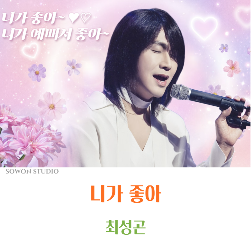 165. 최성곤 - 니가 좋아 (Feat. 영화 와일드씽 )_드디어 뮤직비디오가 나왔어요~~ +류승룡 니가 ....
