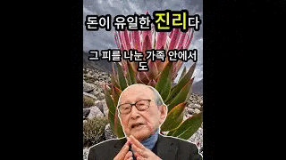  돈이 유일한 진리다 | 김형석 교수의 경고