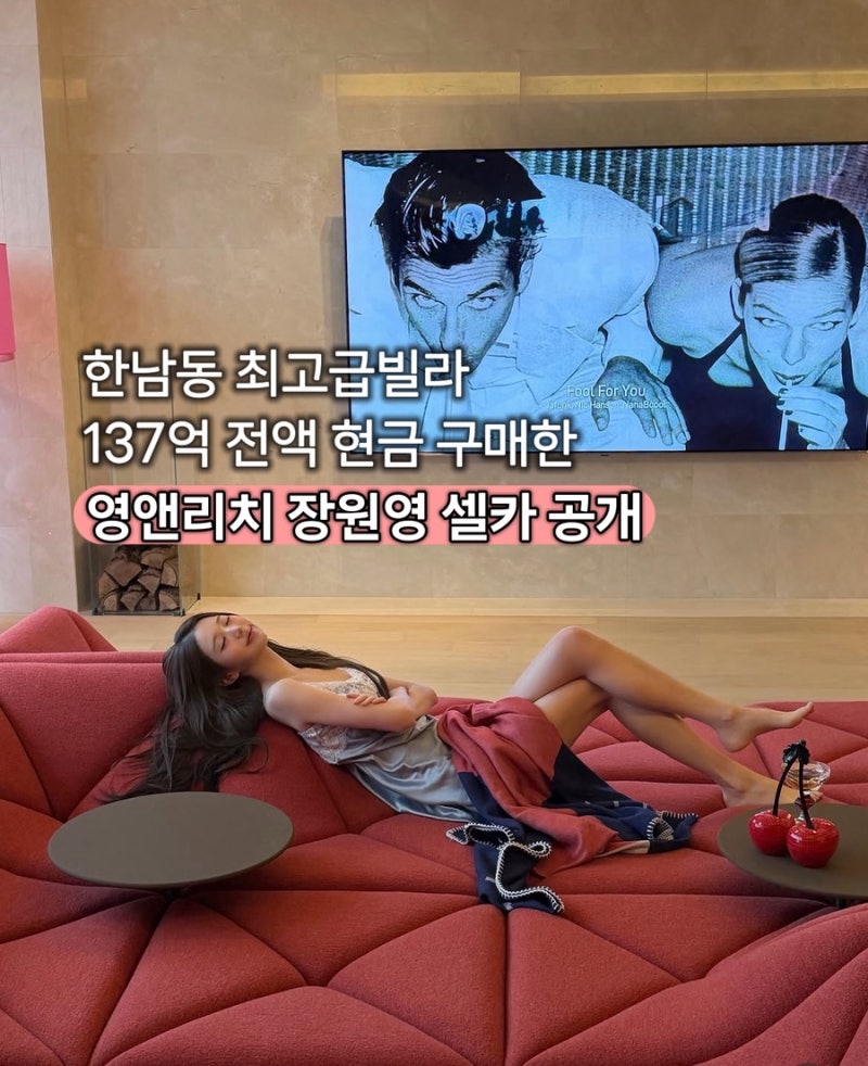 진정한 영앤리치 장원영 I 한남동 최고급 빌라 137억 전액현금 구매 I 장원영 소파 가격