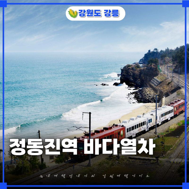 강원도 강릉 정동진역 바다열차 기차여행 떠나요 당일치기